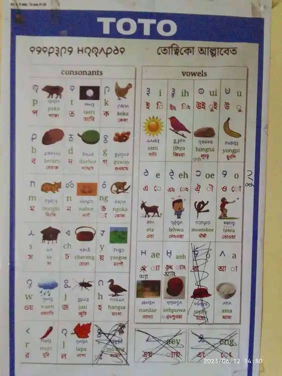 toto chart 